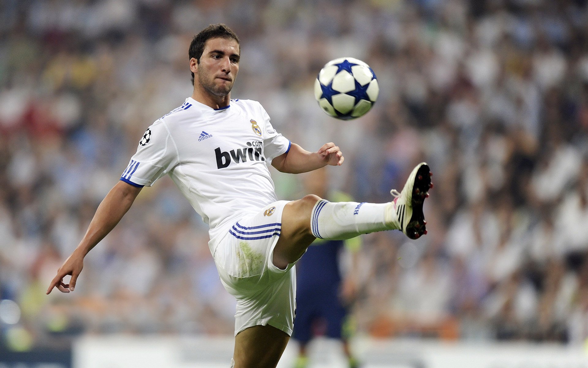 中国足球职业联盟结构分析,中国足球职业联盟是什么意思